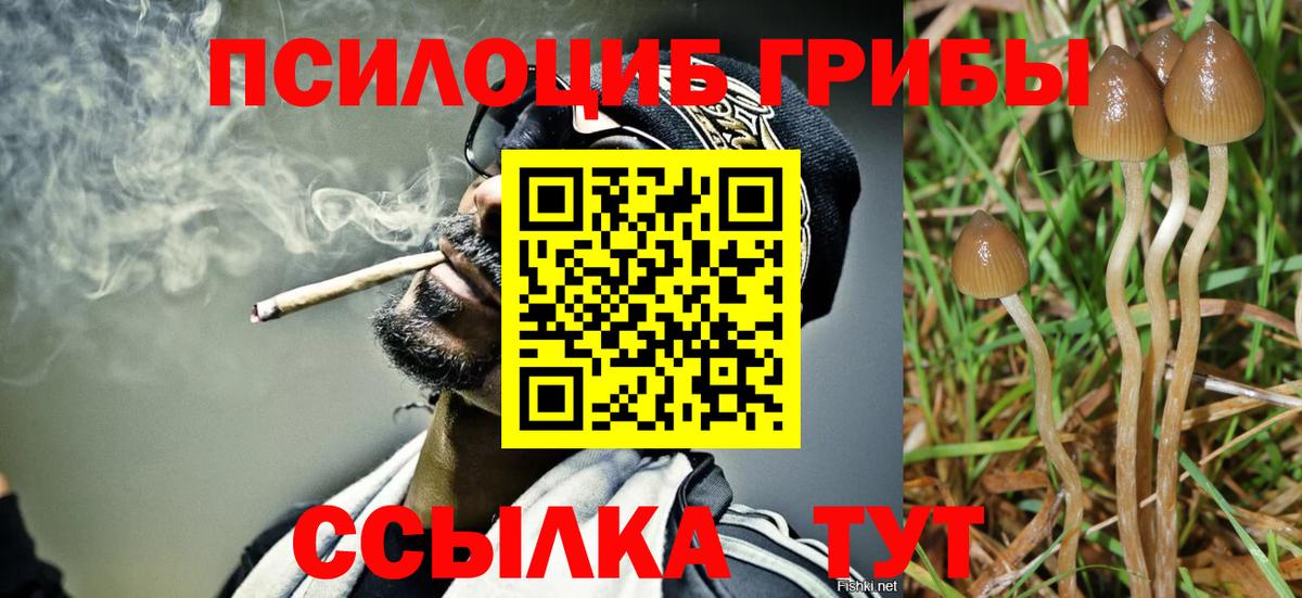 Галлюциногенные грибы Psilocybine cubensis  Вход с VPN  Шарыпово  Галлюциногенные грибы Psilocybine cubensis 
